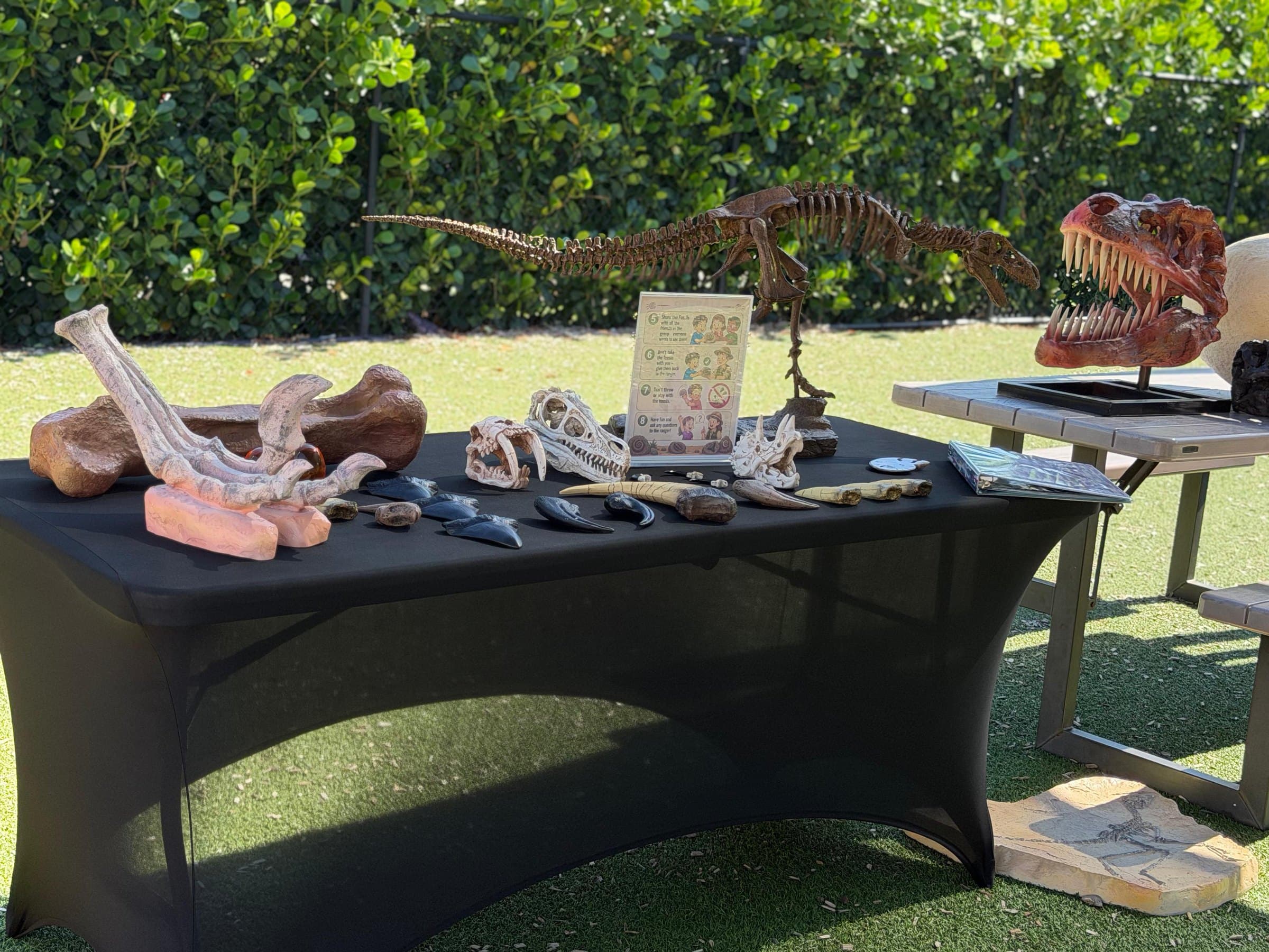 Jurassic Petting Zoo event photo