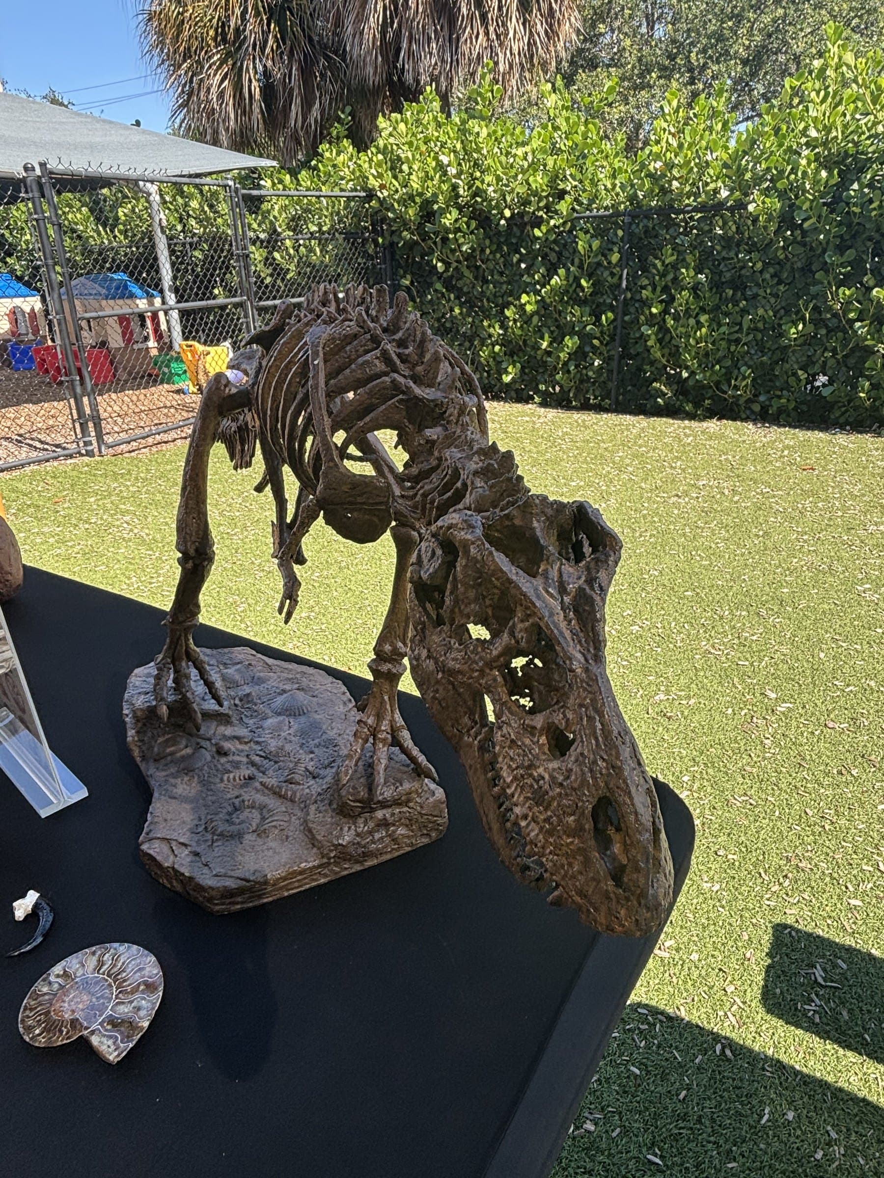 Jurassic Petting Zoo event photo